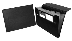 Accordion folder